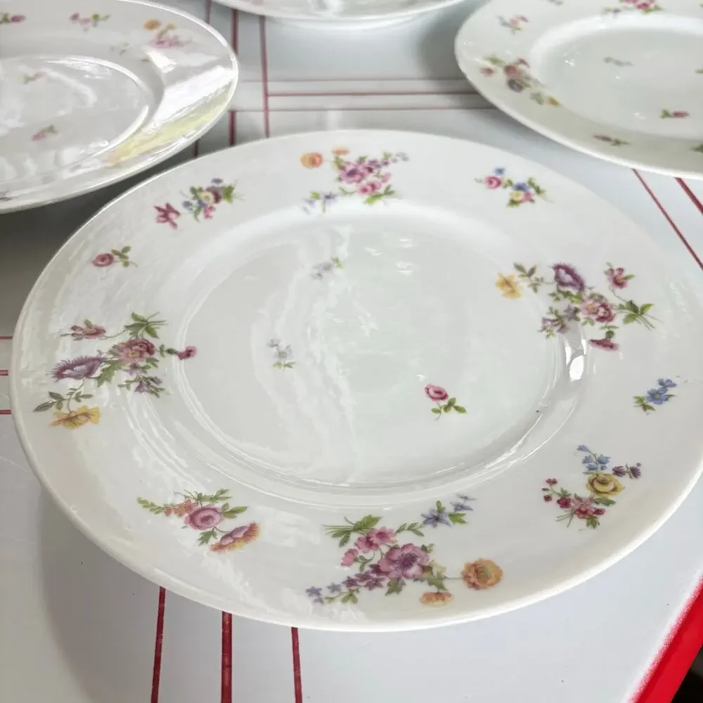 Bernardaud & Co Limoges all always